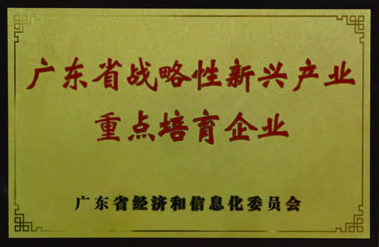 广东省战术性新兴产业沉点造就企业